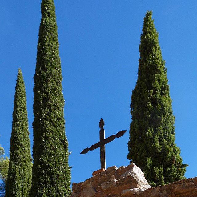 El Ciprés y el Cementerio